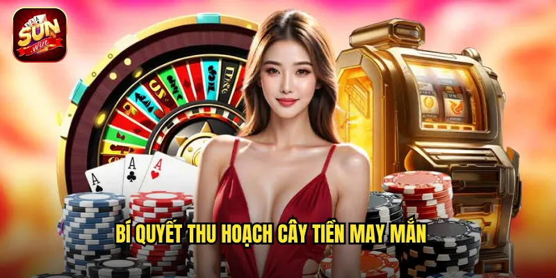 Bí Quyết Thu Hoạch Cây Tiền May Mắn